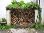 living roof over a wood store